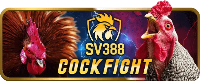 Quy trình đăng ký d368 nhanh chóng